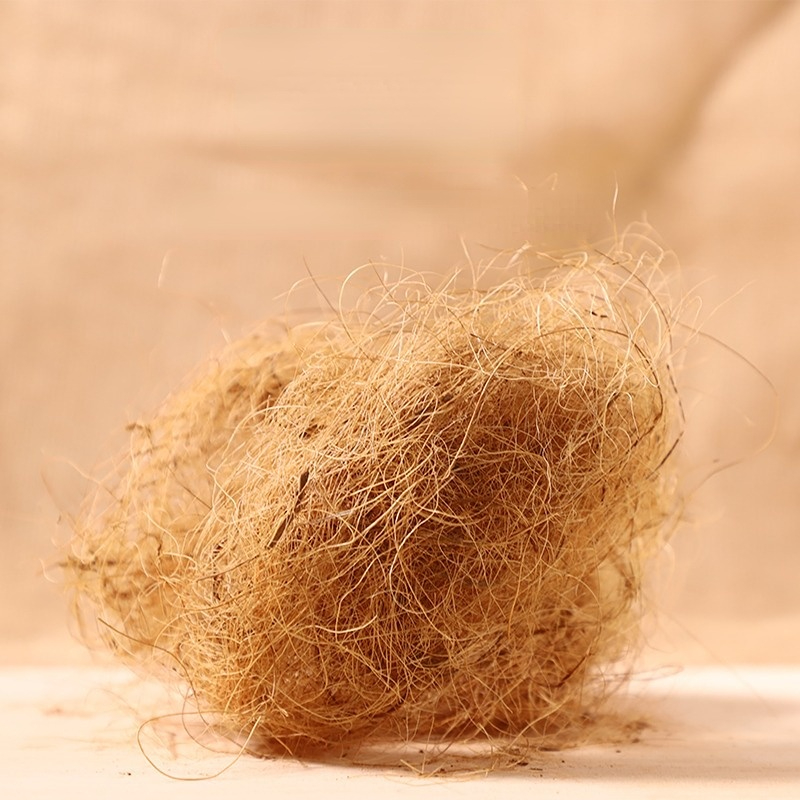 Substrate Coconut Fiber - 100G Substrat Tempat Tidur Longgar Serat