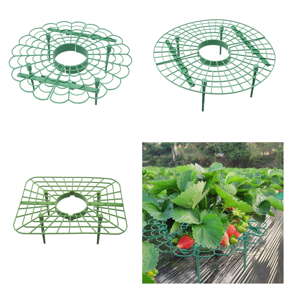 Pot Bunga Otomatis Sistem Irig - Vine Climbing Plastic ulasan dan harga