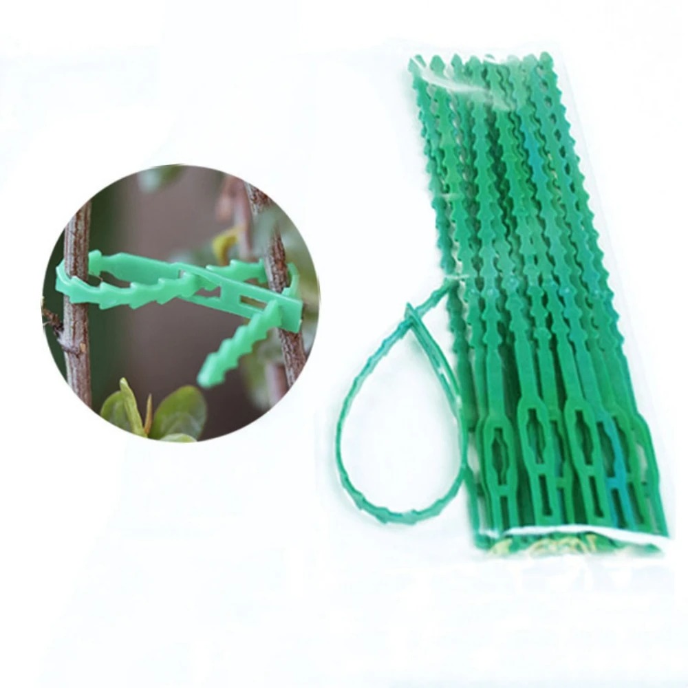 50pcs Kabel Pengikat Tanaman P - Vine Climbing Plastic ulasan dan harga