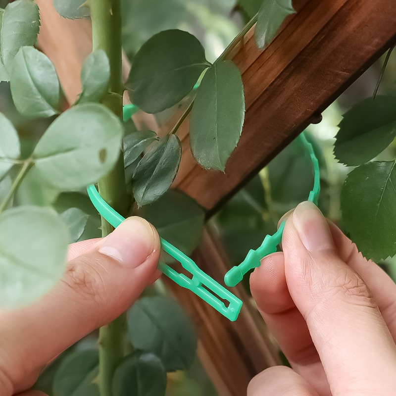 Kabel Pengikat Tanaman Reusabl - Vine Climbing Plastic ulasan dan harga