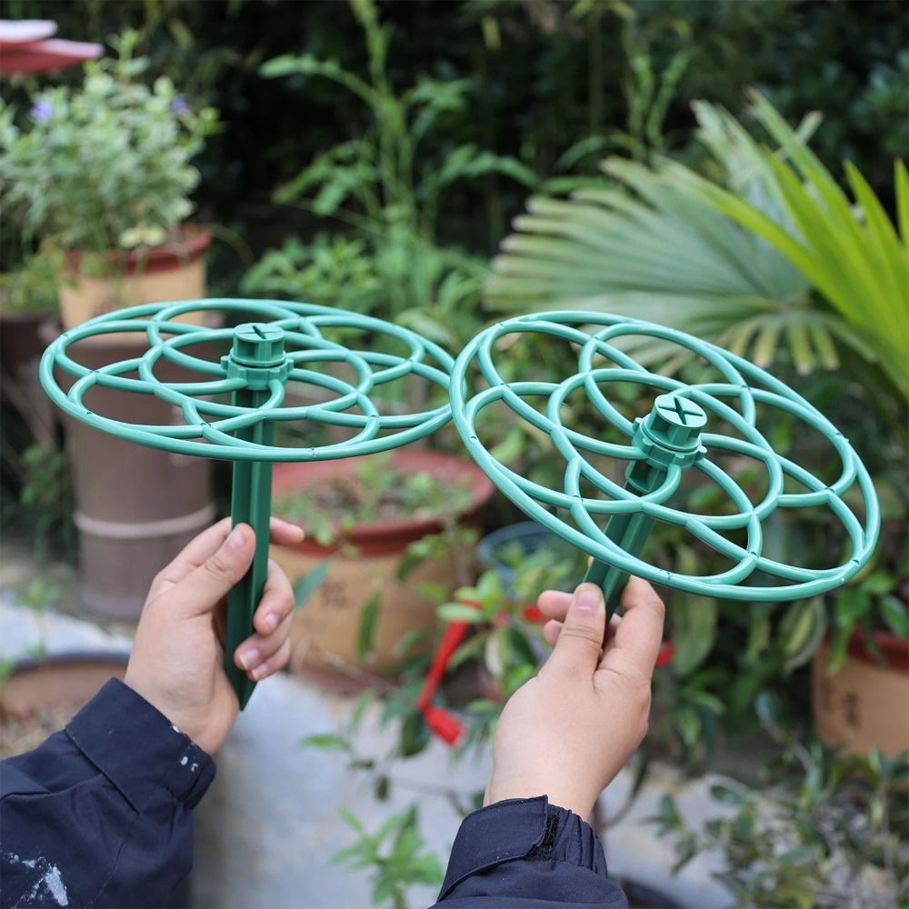 S/M/L Plastik Taman Stackable  - Vine Climbing Plastic ulasan dan harga