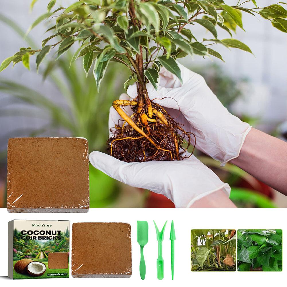 Batu Bata Serat Sabut Kelapa - - Substrate Coconut Fiber ulasan dan harga