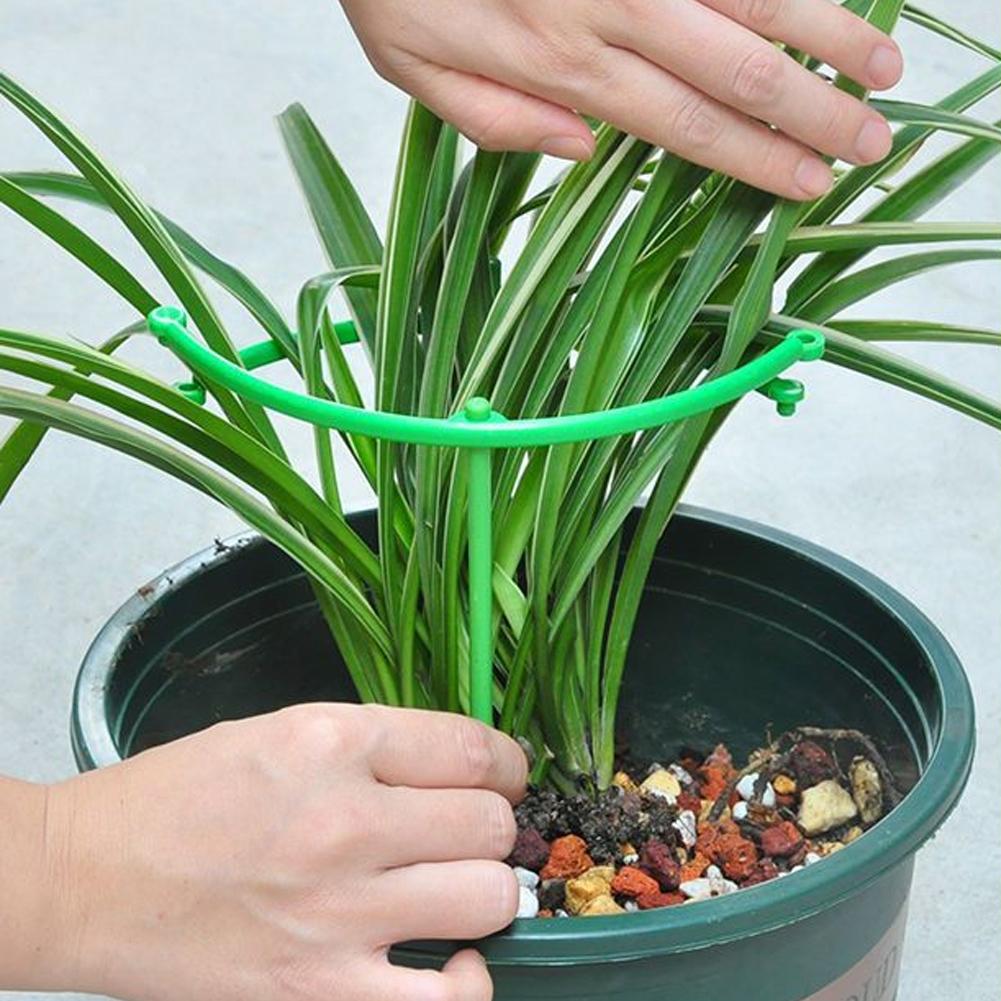 Cincin Penyangga Tanaman Meram - Vine Climbing Plastic ulasan dan harga