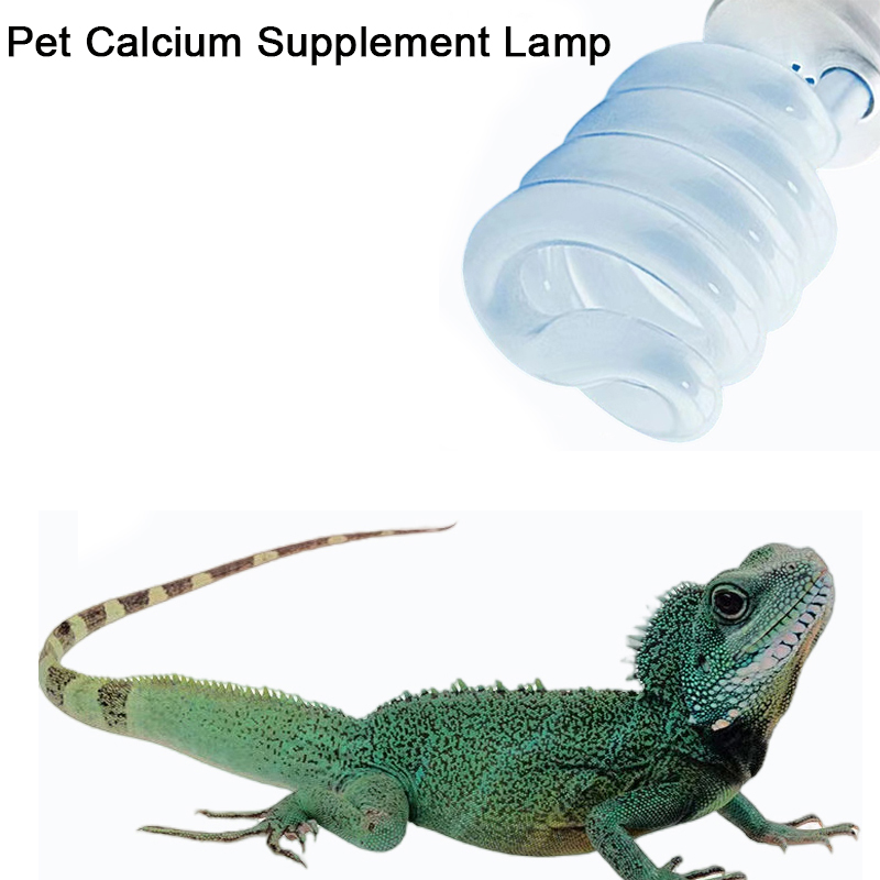 E27 13W/26W Lampu Reptil Uvb L - Calcium Powder Reptile ulasan dan harga