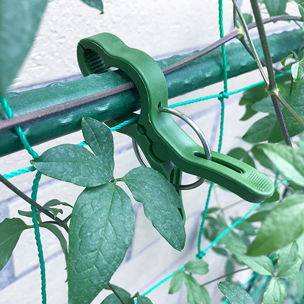 60 Buah Klip Tanaman Taman, Kl - Vine Climbing Plastic ulasan dan harga