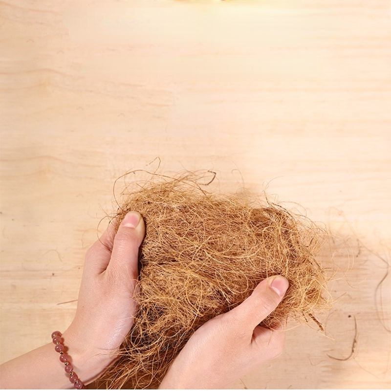 100G Substrat Tempat Tidur Lon - Substrate Coconut Fiber ulasan dan harga
