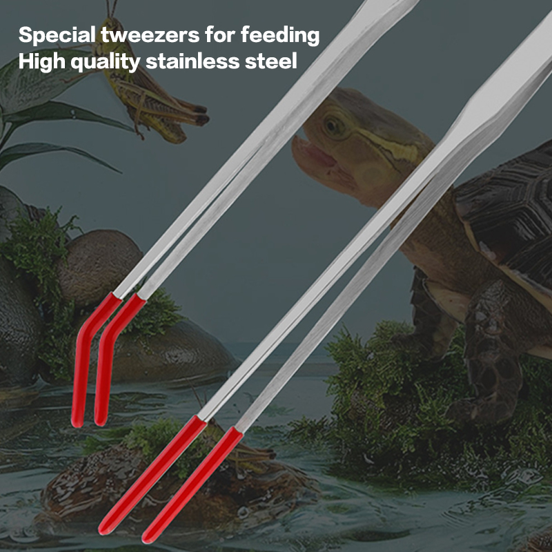 Penjepit Makan Reptil Baja Tah - Feeding Tong Stainless ulasan dan harga