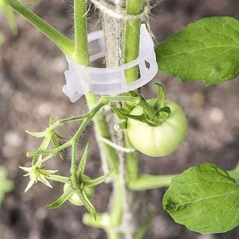 Klip Penyangga Tanaman Plastik - Vine Climbing Plastic ulasan dan harga