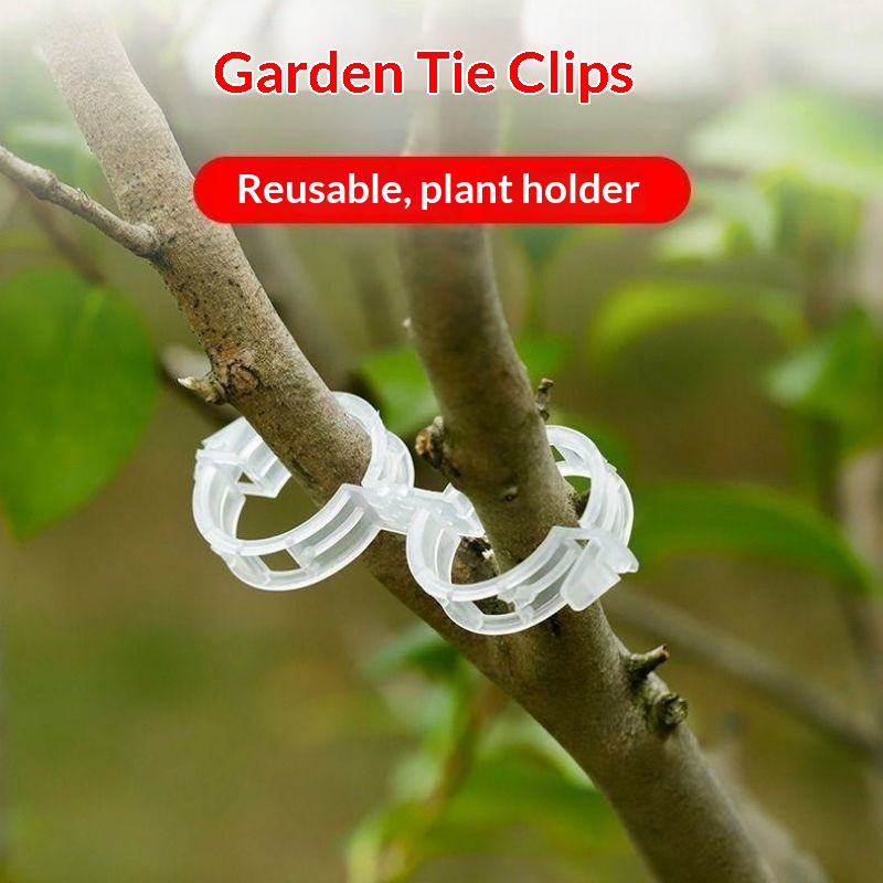Klip Penyangga Tanaman Plastik - Vine Climbing Plastic ulasan dan harga