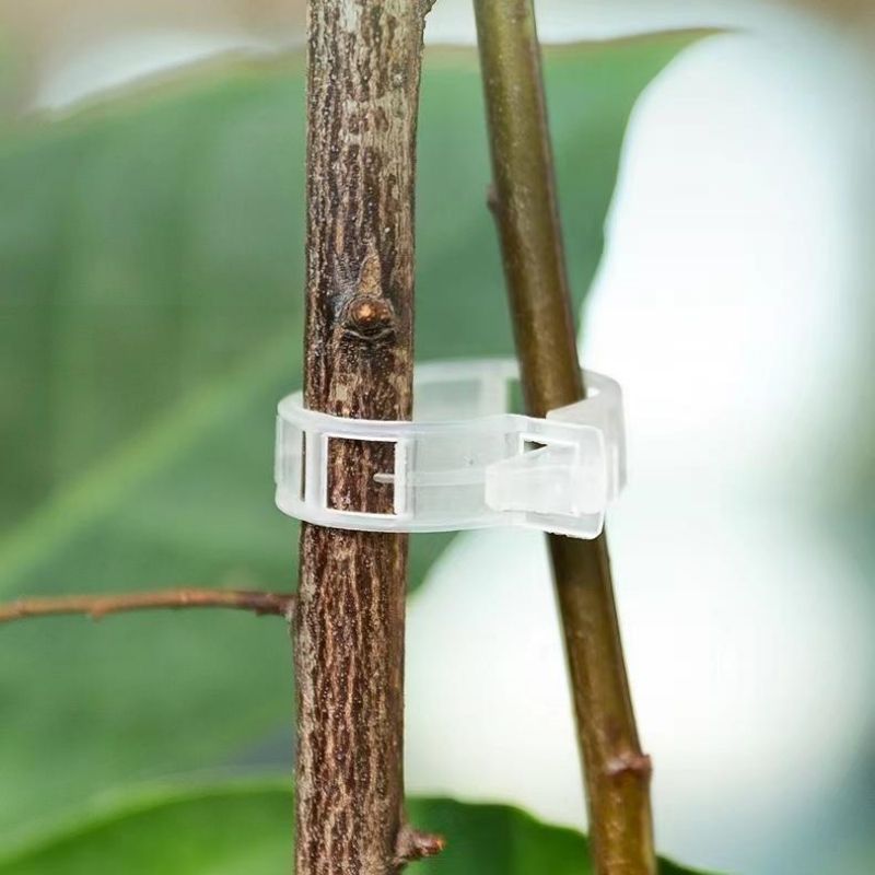 Klip Penyangga Tanaman Plastik - Vine Climbing Plastic ulasan dan harga
